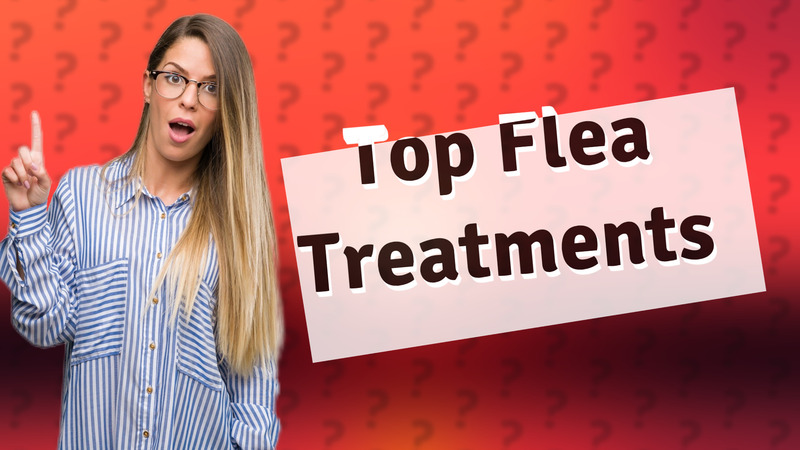 Top Flea Treatments
