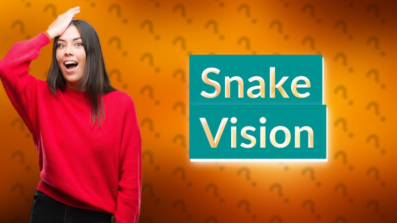 Snake Vision