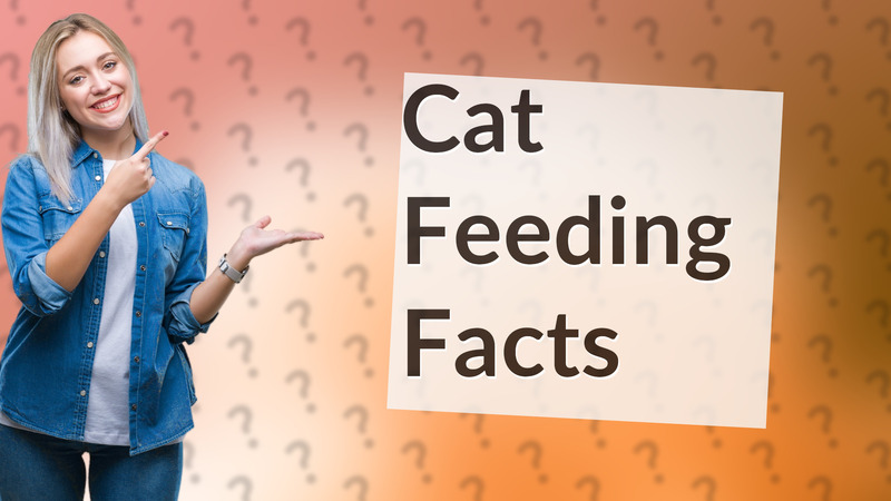 Cat Feeding Facts