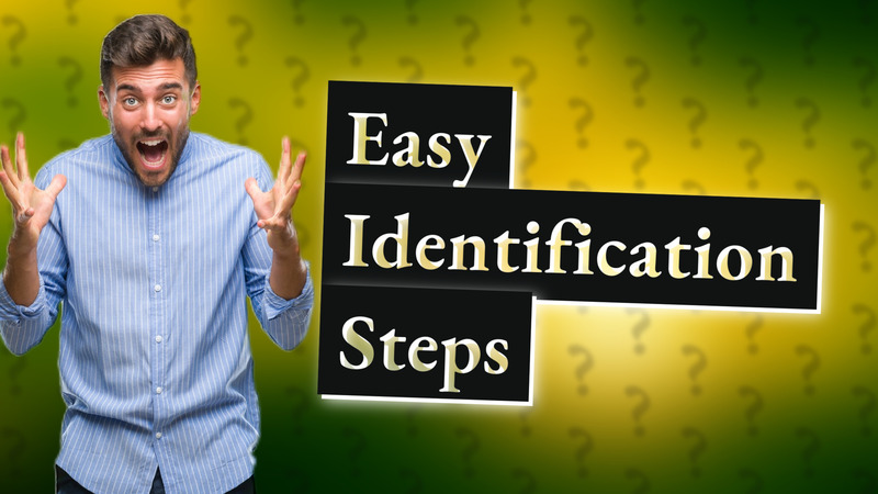 Easy Identification Steps