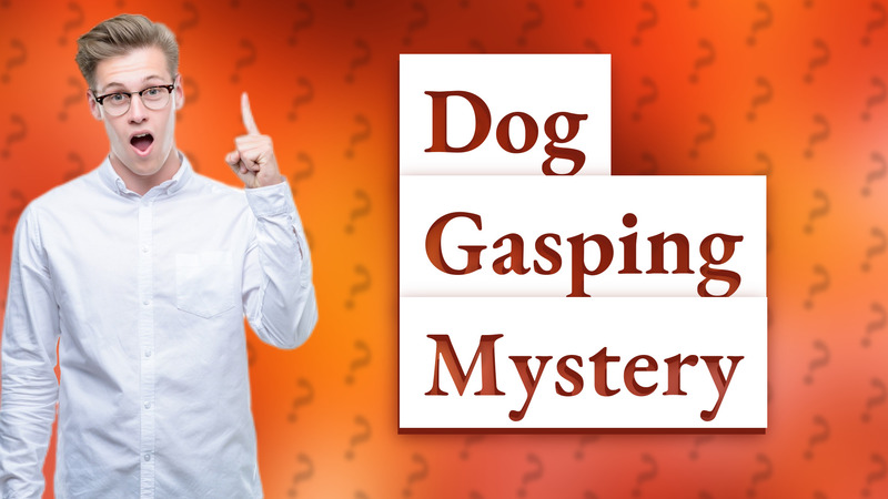 Dog Gasping Mystery