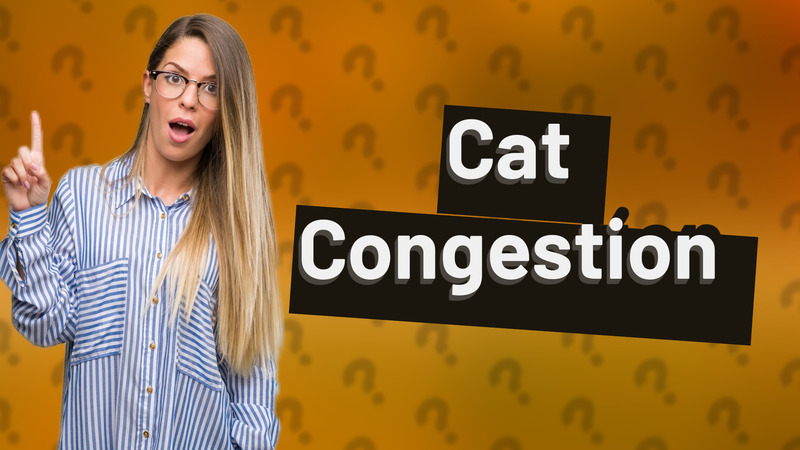 Cat Congestion