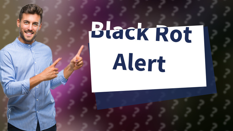 Black Rot Alert