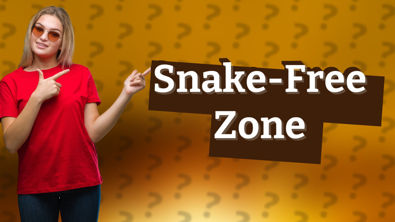 Snake-Free Zone