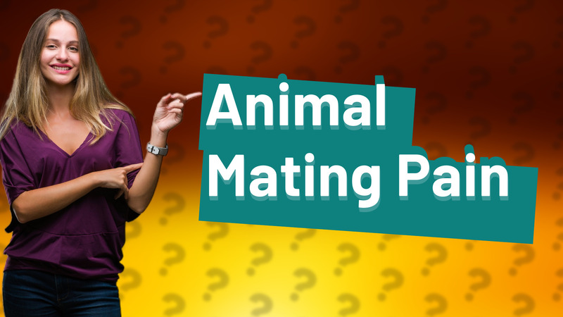Animal Mating Pain