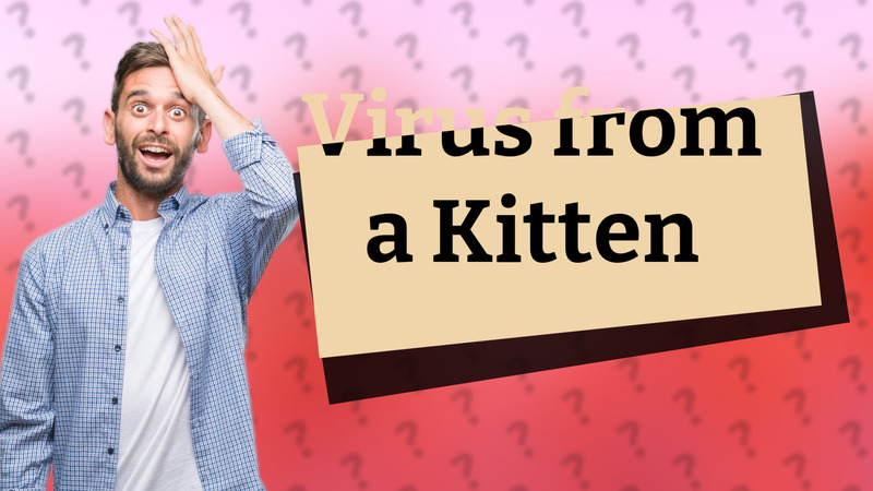 Virus from a Kitten