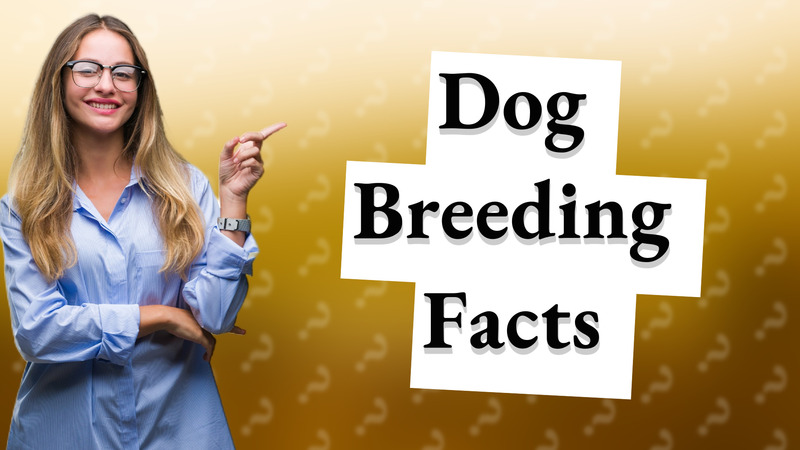 Dog Breeding Facts