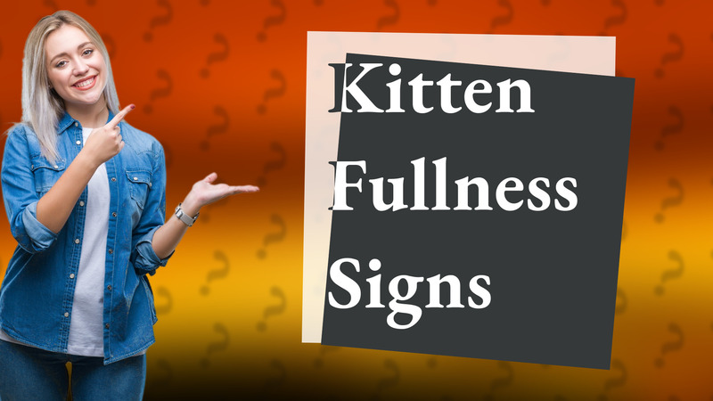 Kitten Fullness Signs