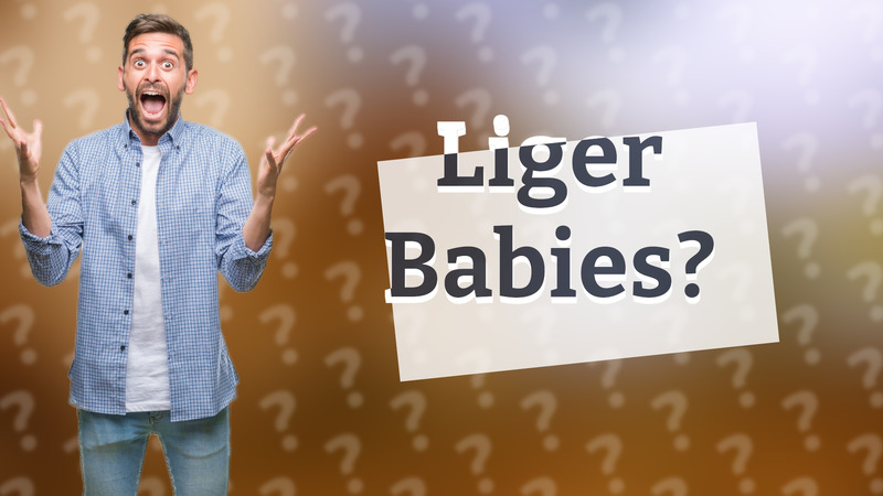 Liger Babies?