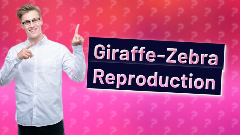 Giraffe-Zebra Reproduction