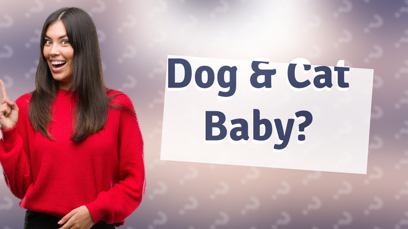 Dog & Cat Baby?