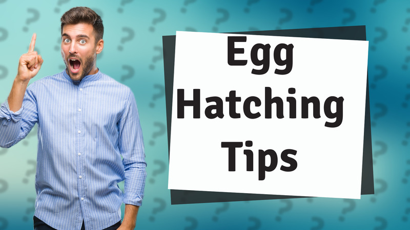 Egg Hatching Tips