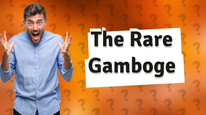 The Rare Gamboge