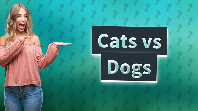 Cats vs Dogs