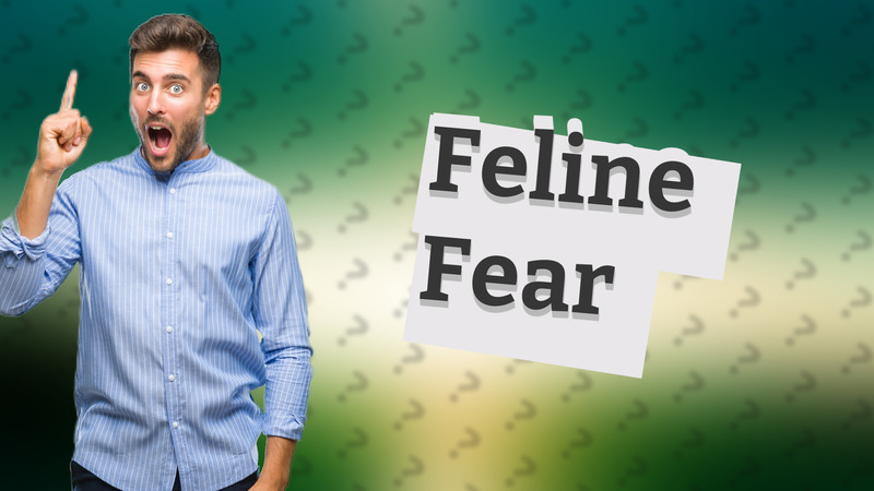 Feline Fear