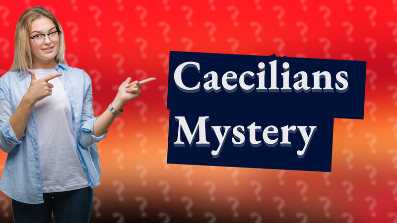 Caecilians Mystery