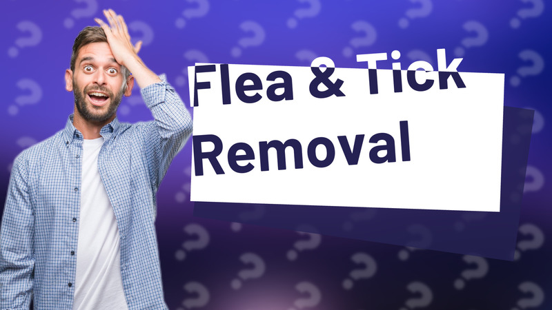 Flea & Tick Removal
