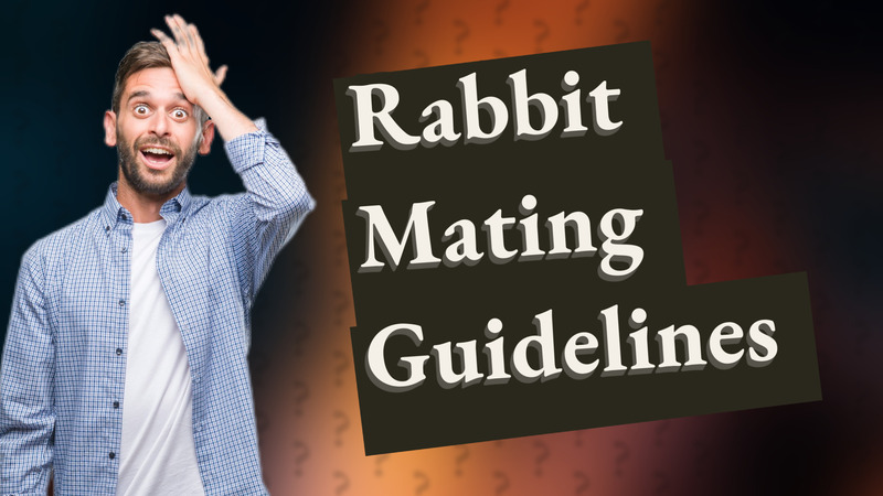 Rabbit Mating Guidelines