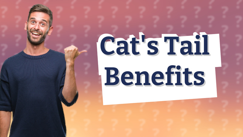 Cat's Tail Benefits