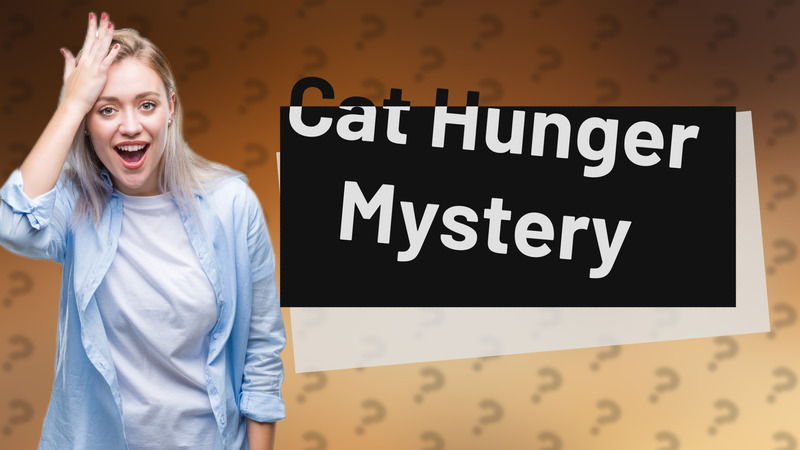 Cat Hunger Mystery