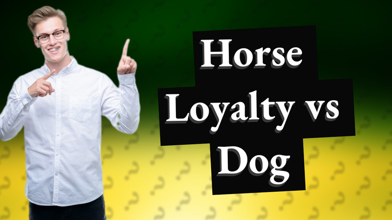 Horse Loyalty vs Dog
