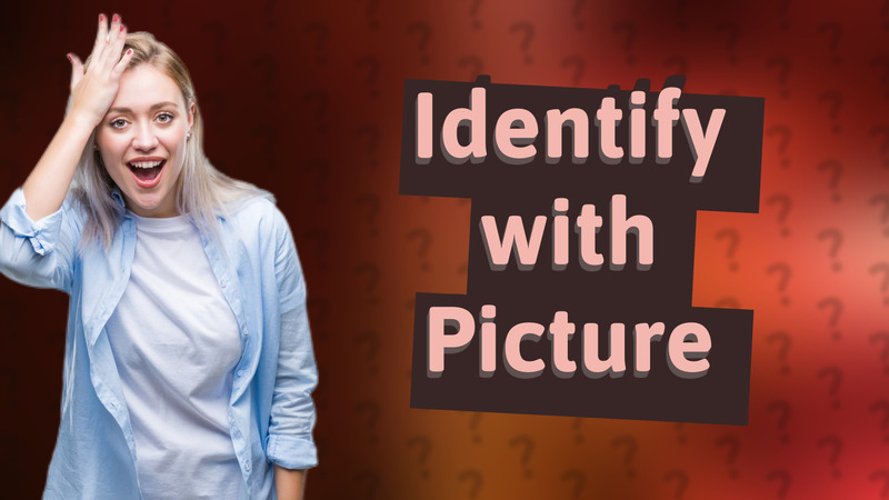 Identify with Picture
