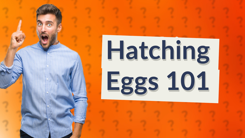 Hatching Eggs 101