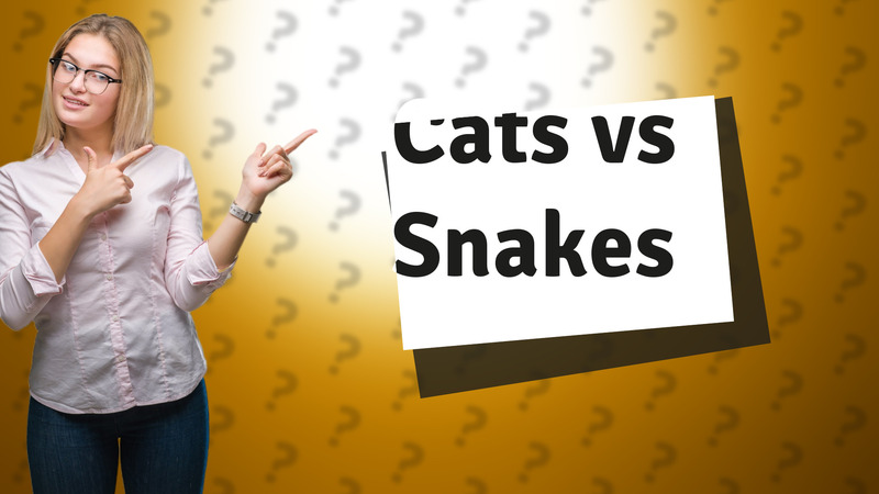 Cats vs Snakes