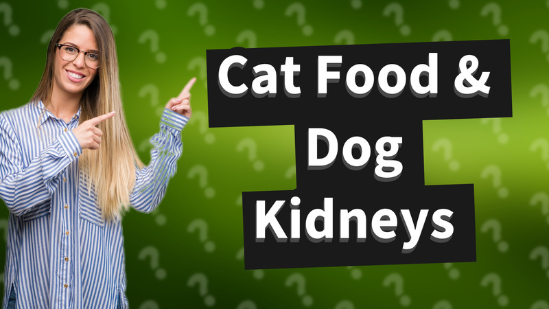 Cat Food & Dog Kidneys