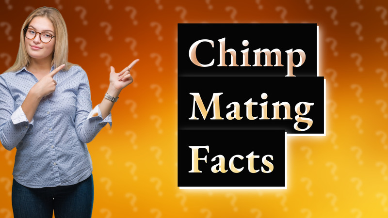 Chimp Mating Facts
