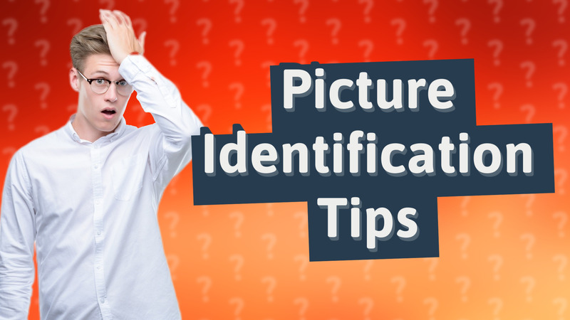 Picture Identification Tips