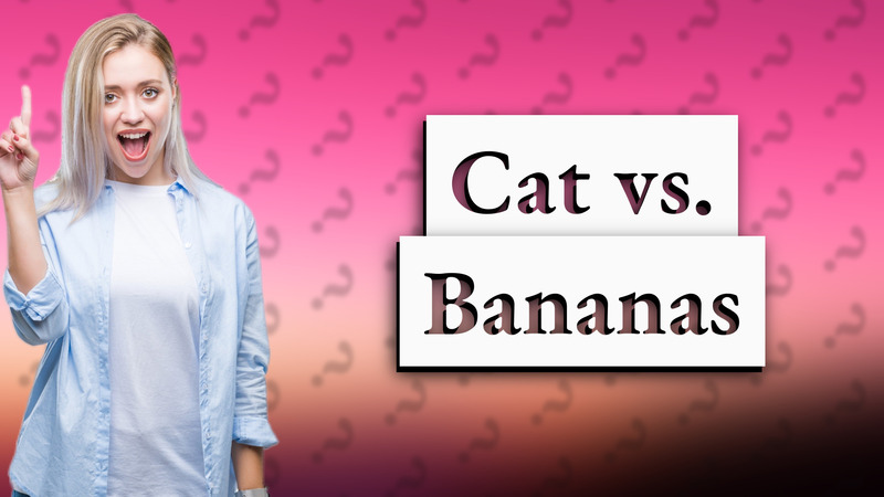 Cat vs. Bananas