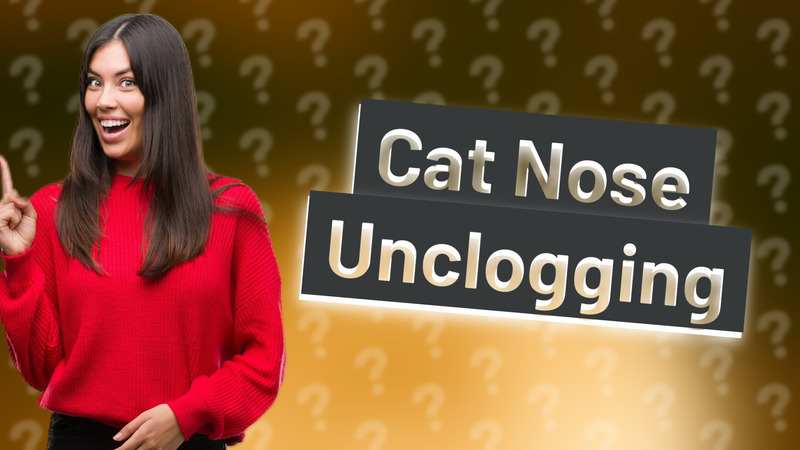 Cat Nose Unclogging