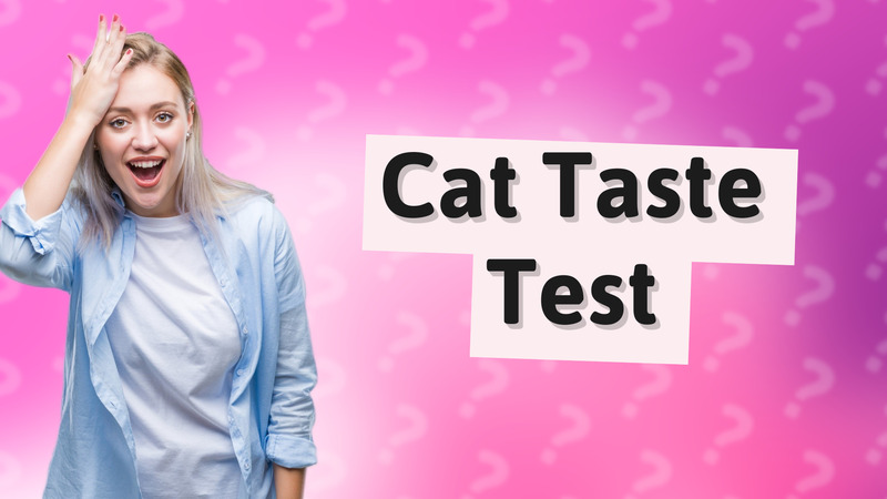 Cat Taste Test