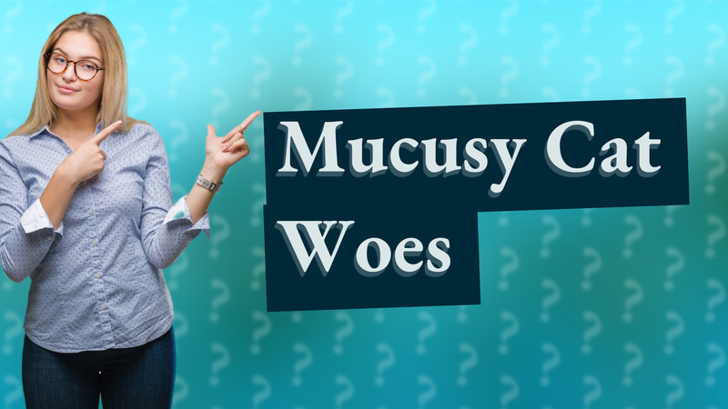 Mucusy Cat Woes