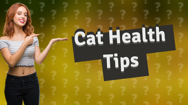 Cat Health Tips