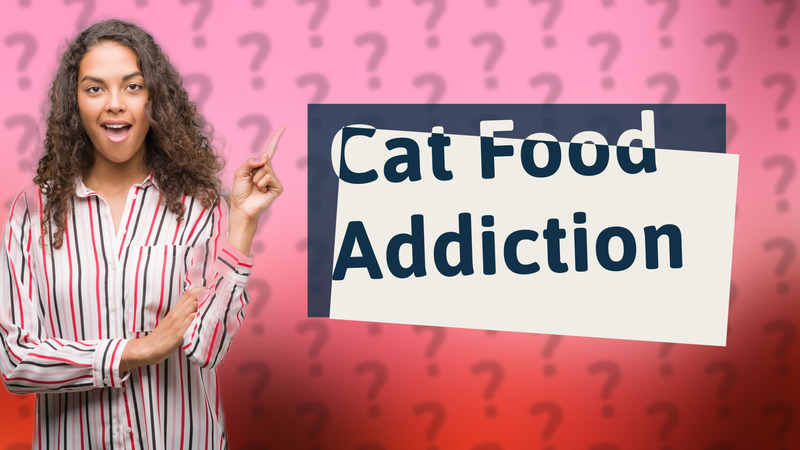Cat Food Addiction