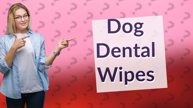 Dog Dental Wipes