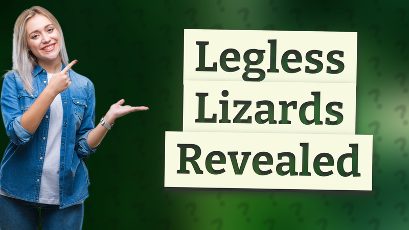 Legless Lizards Revealed