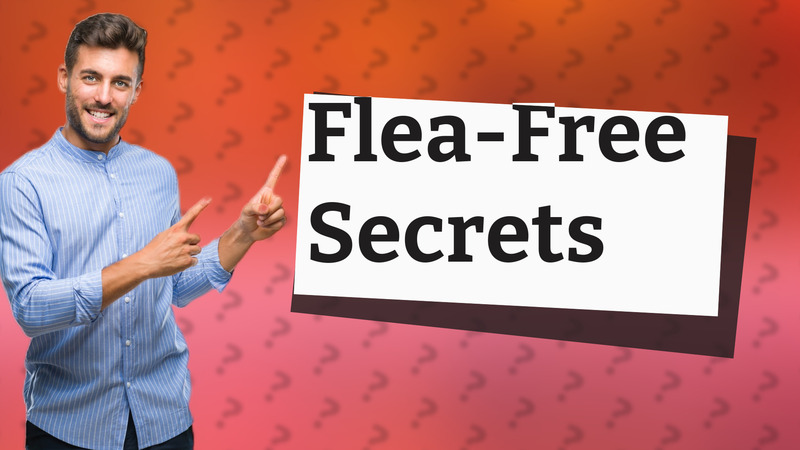 Flea-Free Secrets