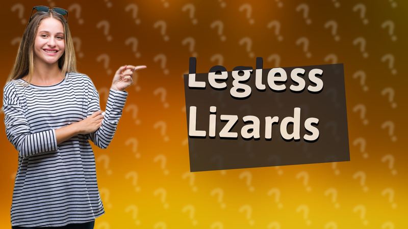 Legless Lizards