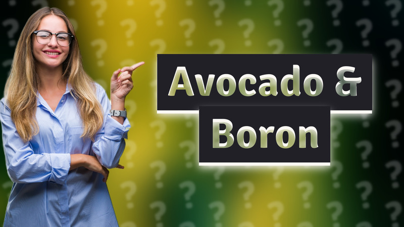 Avocado & Boron