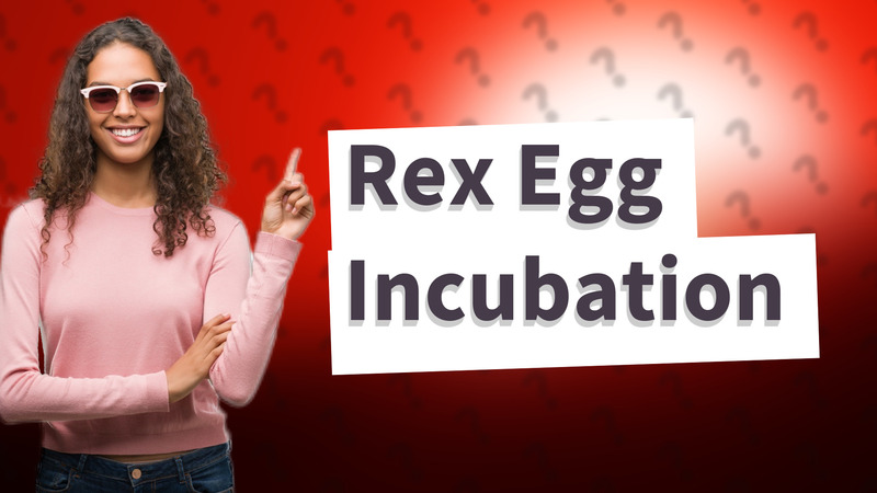 Rex Egg Incubation