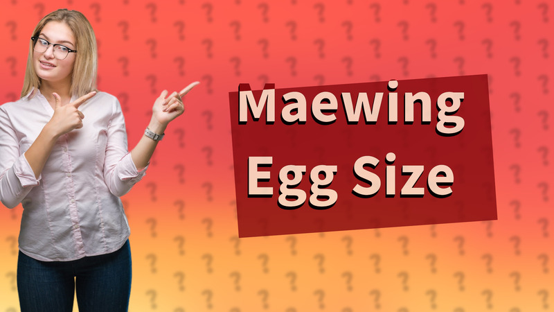 Maewing Egg Size