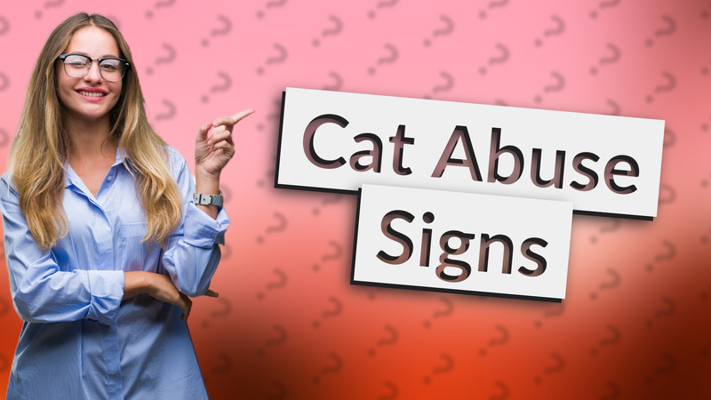 Cat Abuse Signs