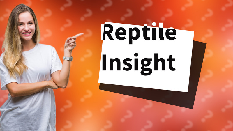 Reptile Insight