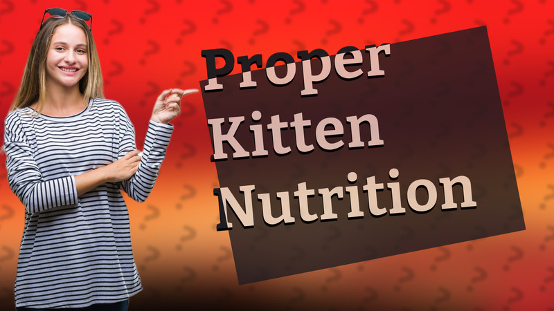 Proper Kitten Nutrition