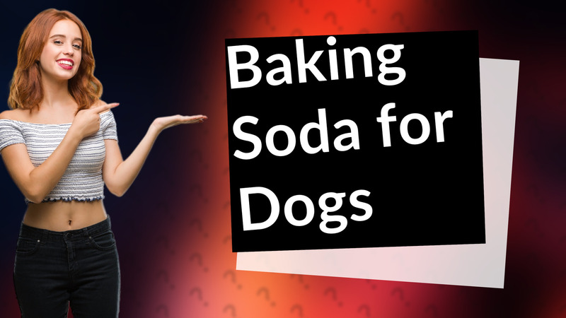 Baking Soda for Dogs