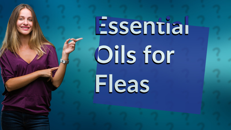 Essential Oils for Fleas