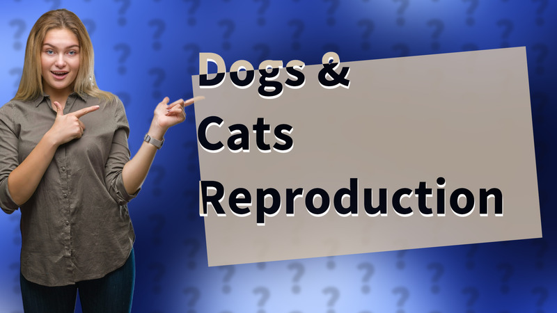 Dogs & Cats Reproduction